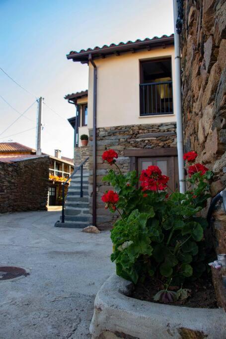 Casa Dona Ildara *